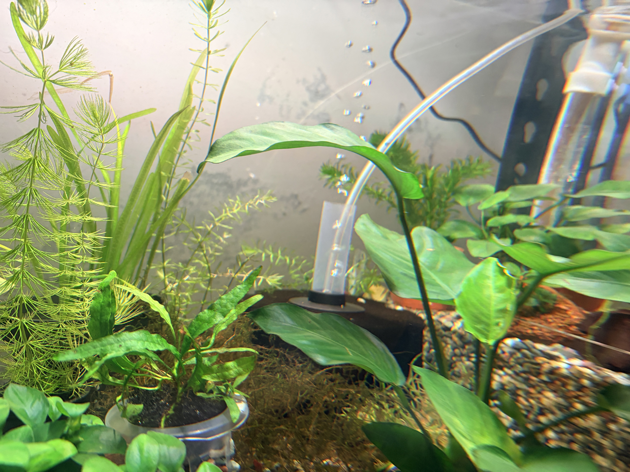 MR AQUA水族先生超靜音打氣機接水妖精與底部過濾