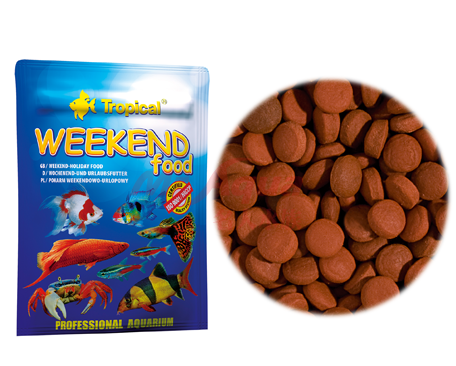 tropical 假期飼料