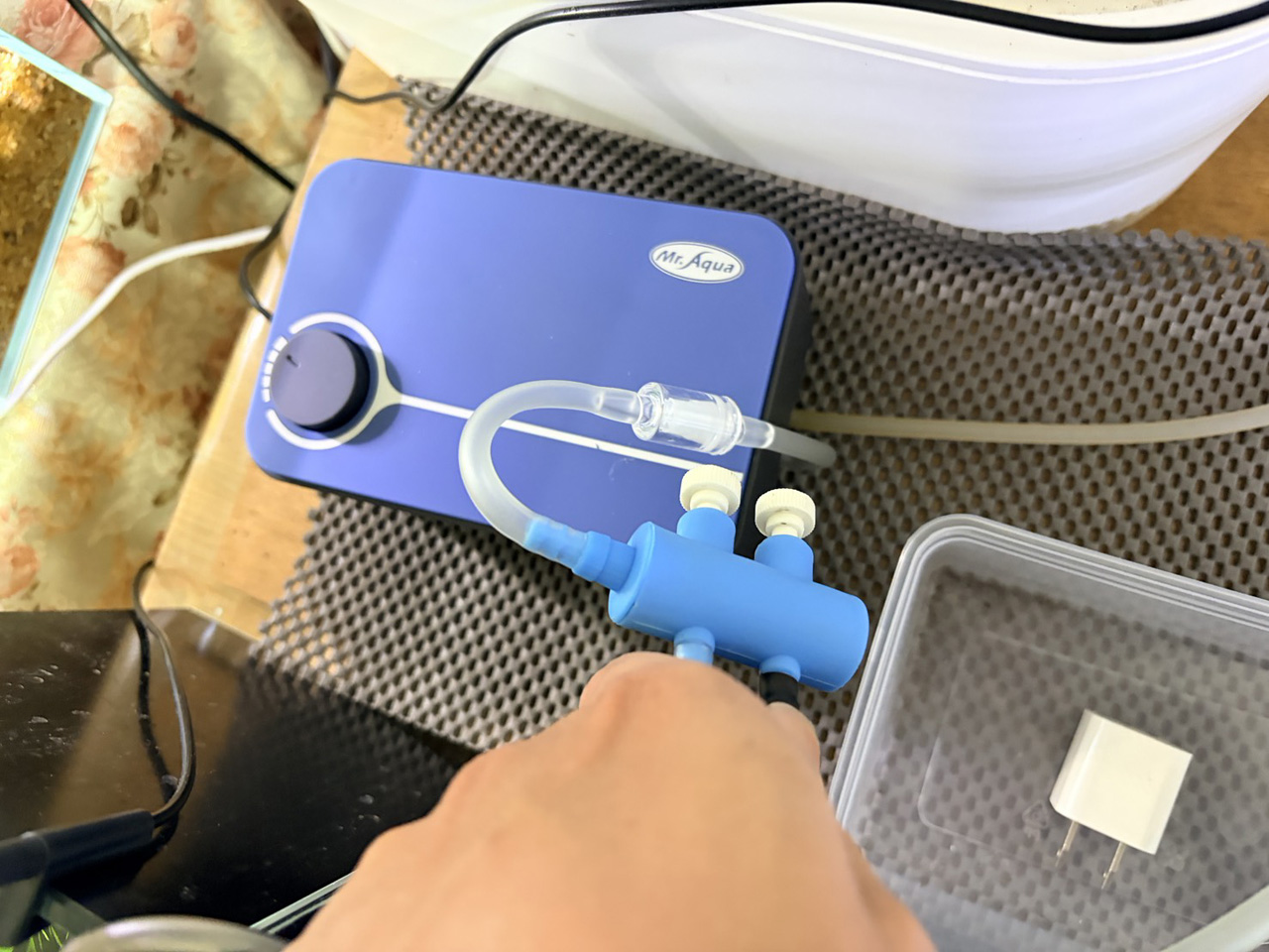 GEX納豆菌氣泡石安裝