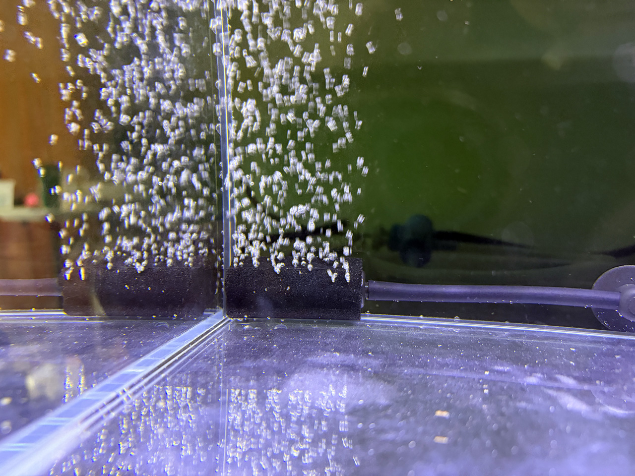 GEX納豆菌氣泡石出氣